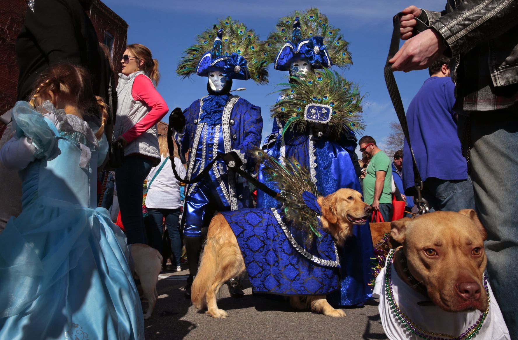 Purina Pet Parade barks through Soulard